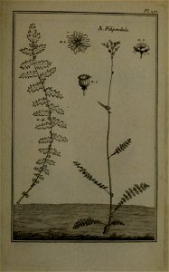 n408_w1150
