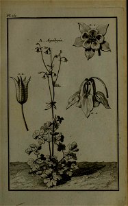 n168_w1150