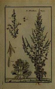 n108_w1150