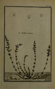 n436_w1150