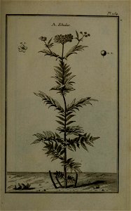 n376_w1150