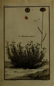 n106_w1150