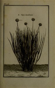 n284_w1150