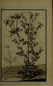 n164_w1150
