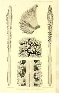 n481_w1150