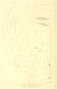 n241_w1150