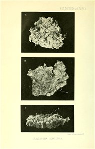n51_w1150