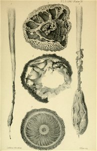 n1128_w1150