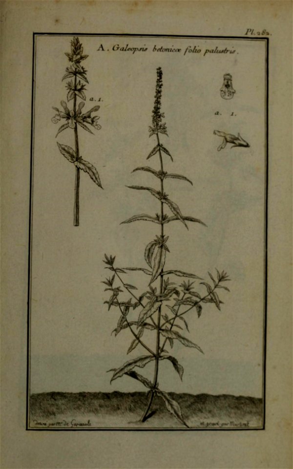 n432_w1150