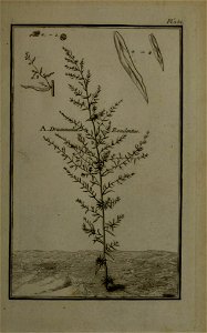 n372_w1150