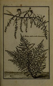 n222_w1150