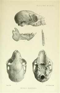 n1156_w1150