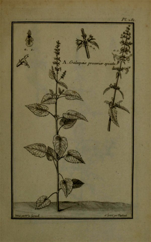 n430_w1150