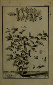 n310_w1150