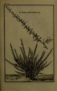 n220_w1150