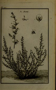 n160_w1150