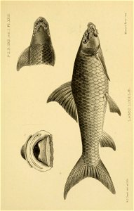 n304_w1150