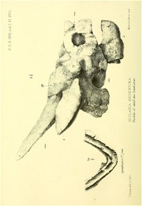 n227_w1150