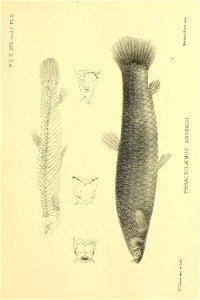 n32_w1150