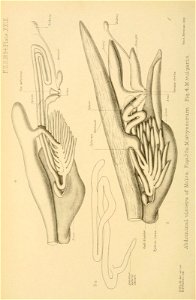 n495_w1150
