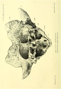 n225_w1150