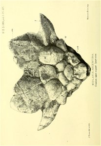 n223_w1150