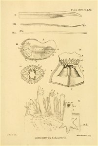 n1128_w1150