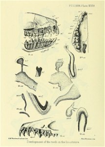 n633_w1150