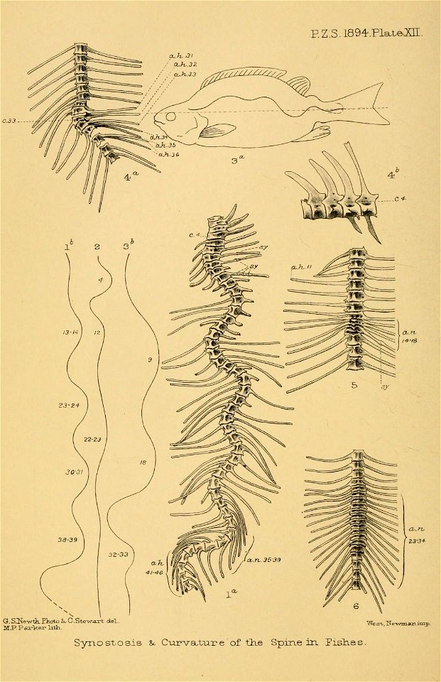 n143_w1150