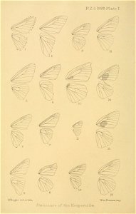 n29_w1150
