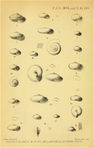 n519_w1150