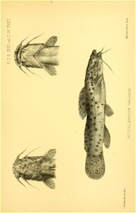 n424_w1150