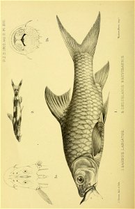 n283_w1150