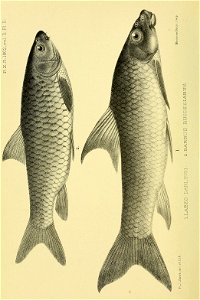 n45_w1150