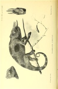 n211_w1150