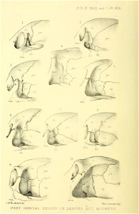 n179_w1150