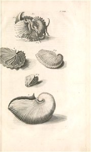 n136_w1150