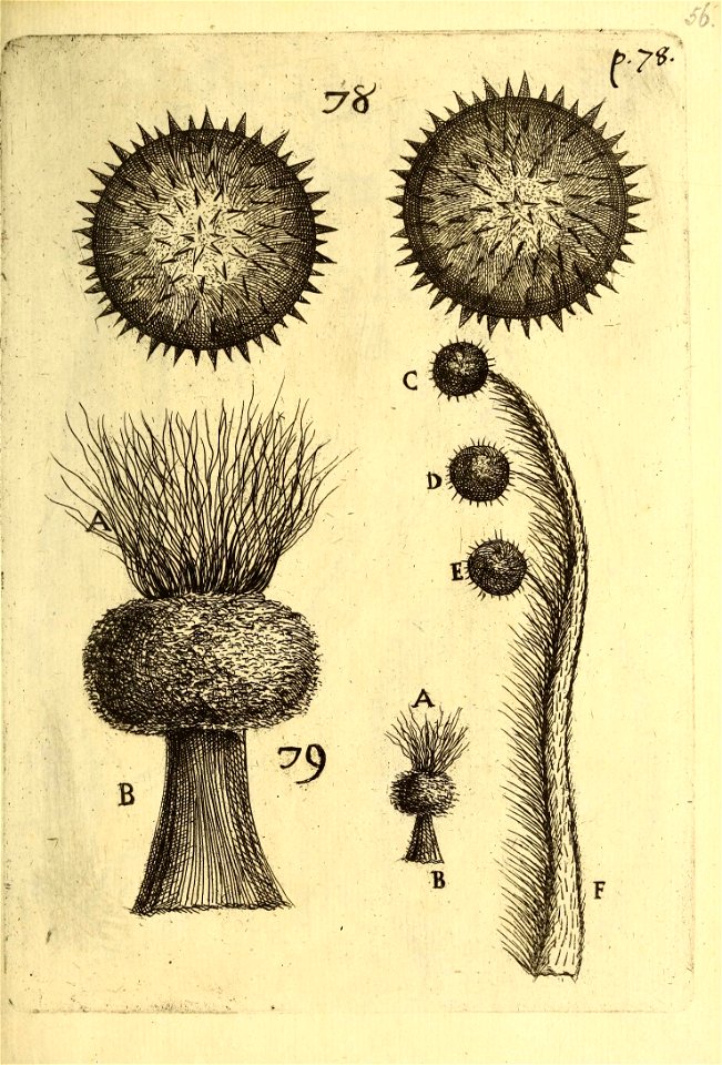 n598_w1150