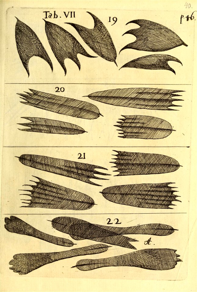 n558_w1150