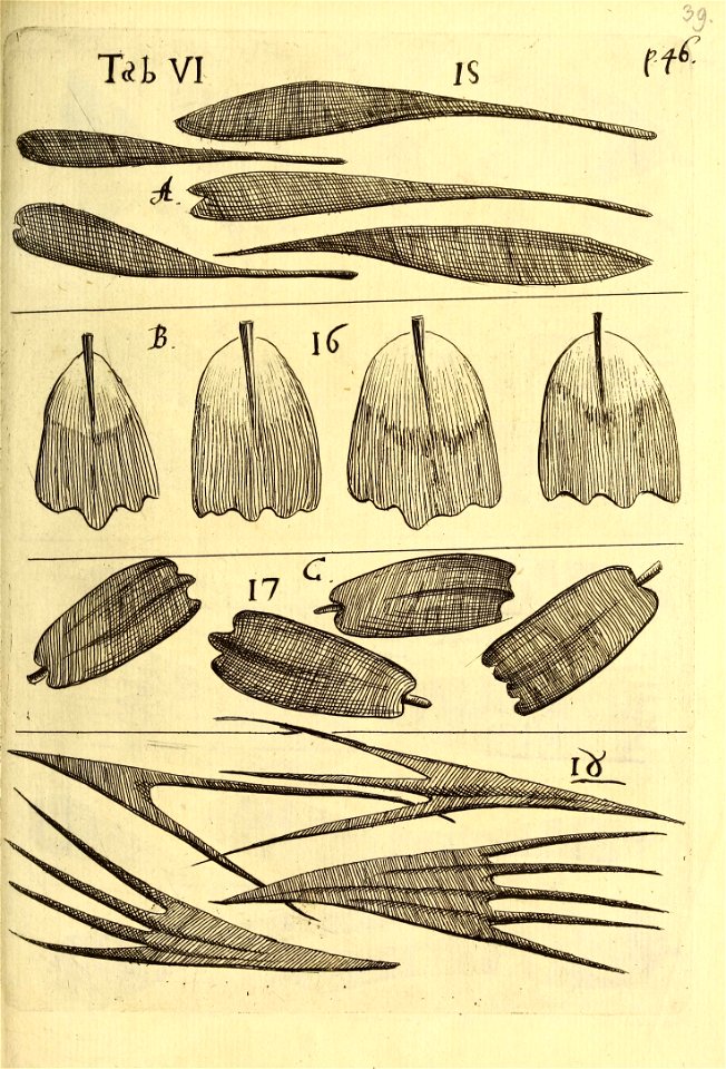 n556_w1150