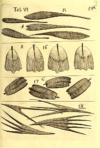 n556_w1150