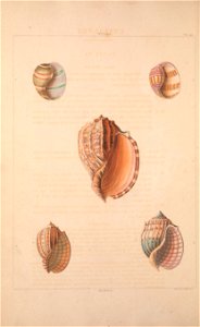 n171_w1150