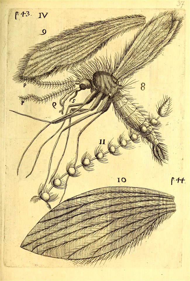 n552_w1150