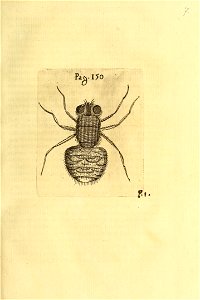 n188_w1150