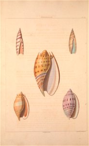 n159_w1150