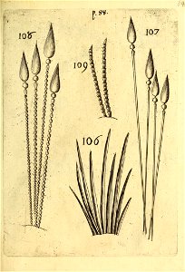 n614_w1150