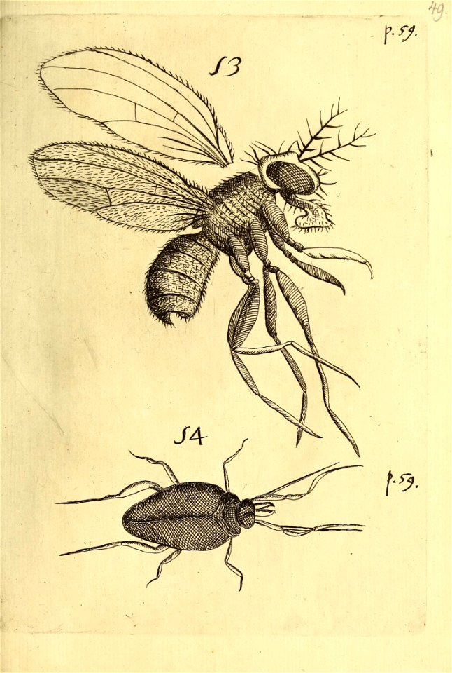 n576_w1150
