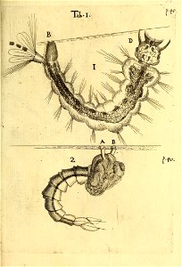 n546_w1150