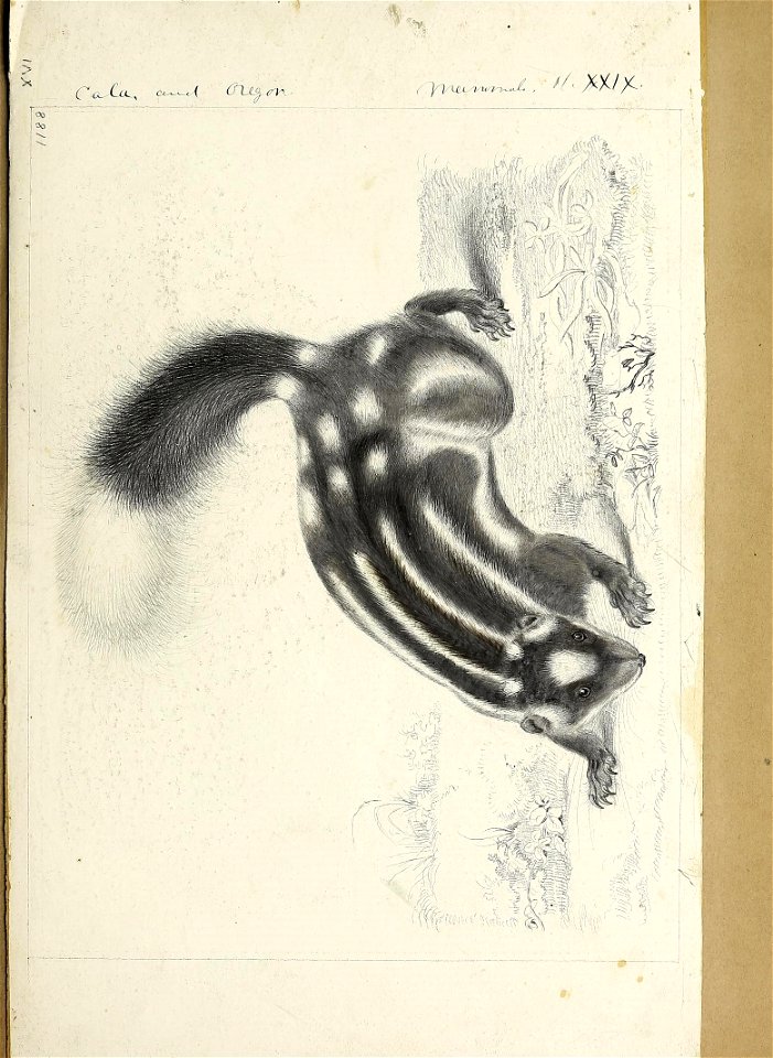 n198_w1150