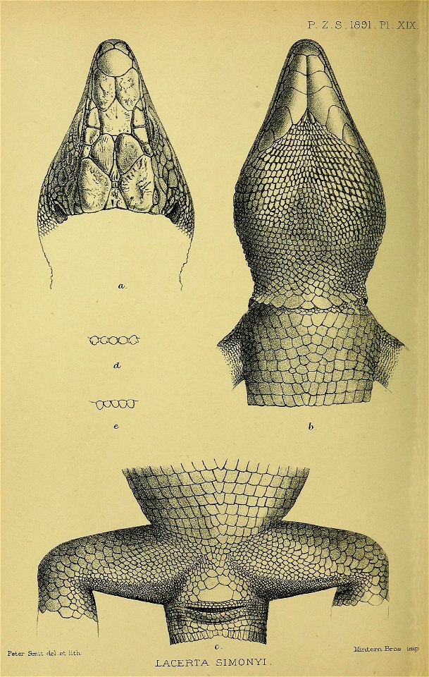 n289_w1150